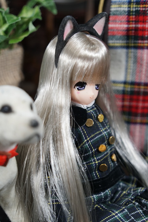 orange_pekoe_4_2018_5_29_DSC00875