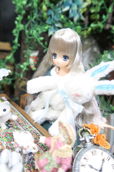 orange_pekoe_6_2019_9_9_IMG_3275