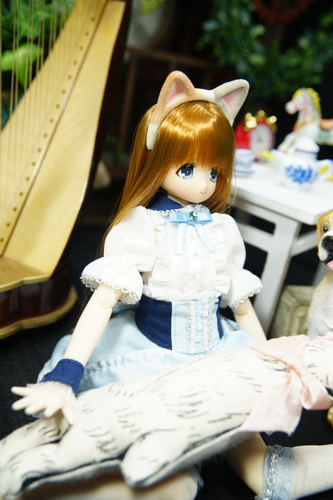 orange_pekoe_5_2020_3_21_DSC02750