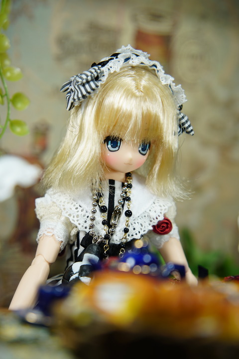 orange_pekoe_3_2020_7_24_DSC05822