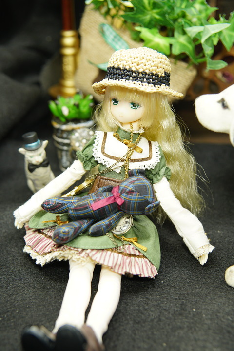 orange_pekoe_3_2019_8_21_DSC00075