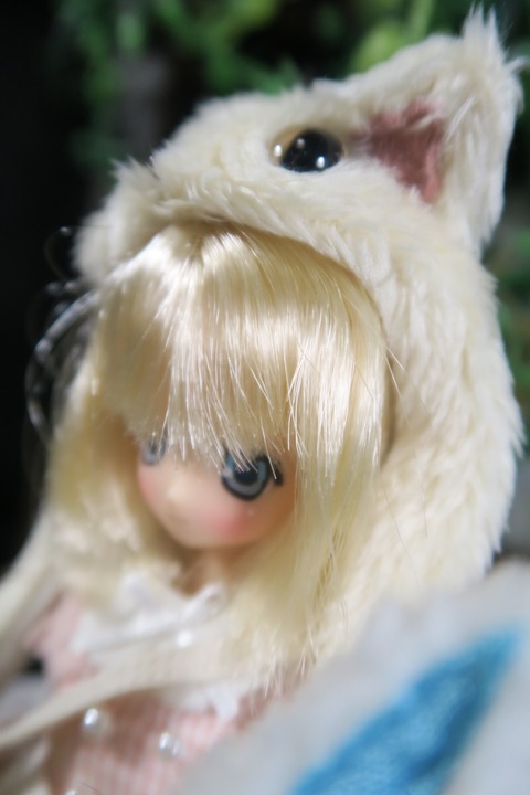 orange_pekoe_3_10_26_IMG_4053
