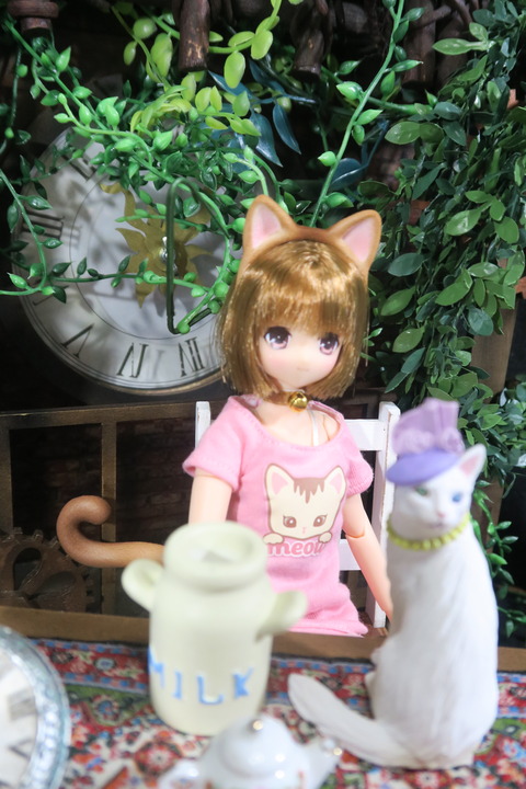 orange_pekoe_5_2017_4_25_IMG_6841