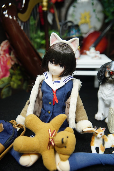 orange_pekoe_6_2020_12_10_DSC05904