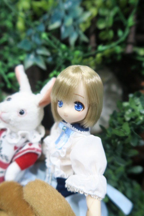 orange_pekoe_5_2019_7_24_IMG_3163