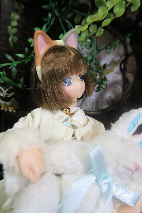 orange_pekoe_4_2017_8_19_IMG_8440