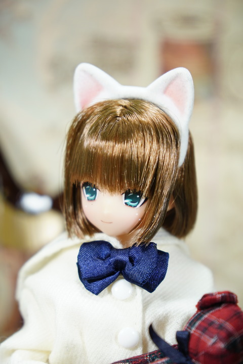orange_pekoe_7_2018_6_20_DSC04560