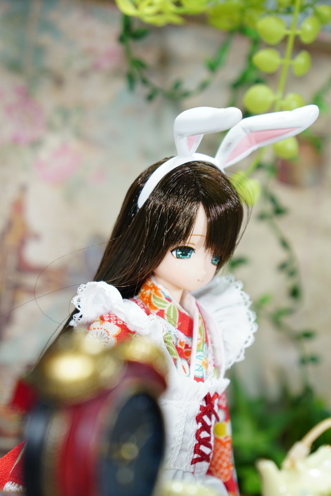 orange_pekoe_3_2020_3_12_DSC05220