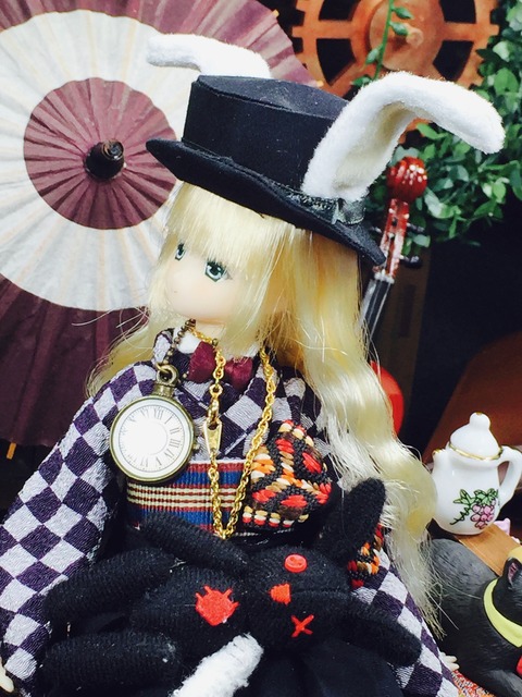 orange_pekoe_8_2020_2_17_IMG_0607