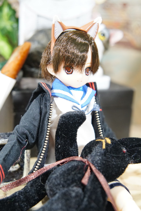 orange_pekoe_2_2020_6_21_DSC07770