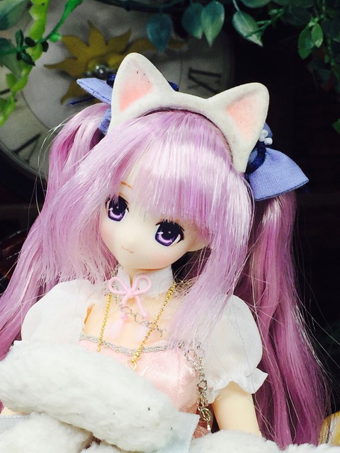 orange_pekoe_4_2020_5_2_IMG_1533