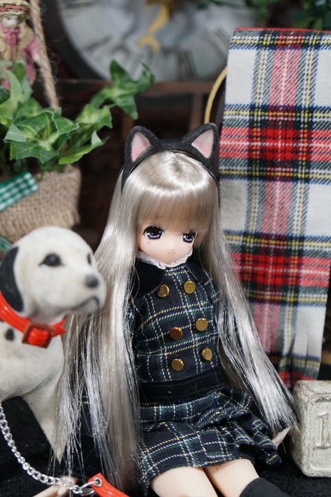 orange_pekoe_2_2018_5_29_DSC00872