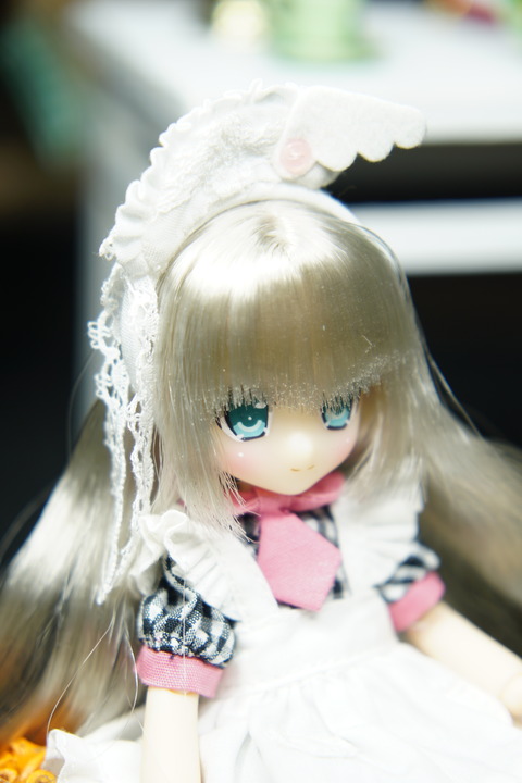 orange_pekoe_8_2019_9_25_DSC09098