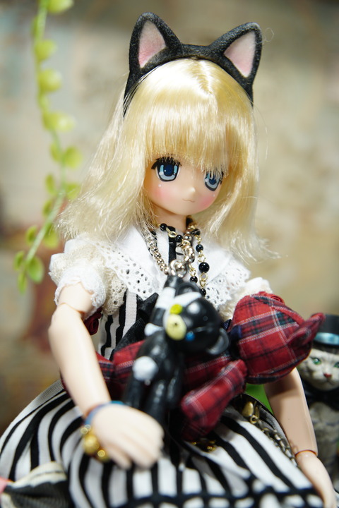 orange_pekoe_8_2018_8_21_DSC06016