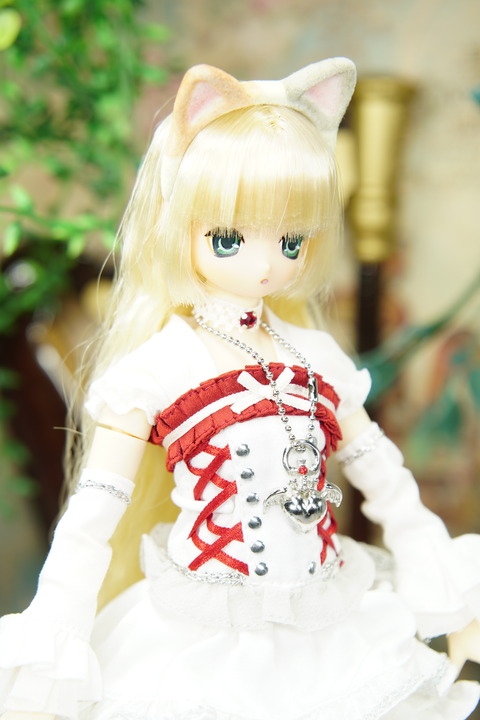 orange_pekoe_5_2019_7_22_DSC06793