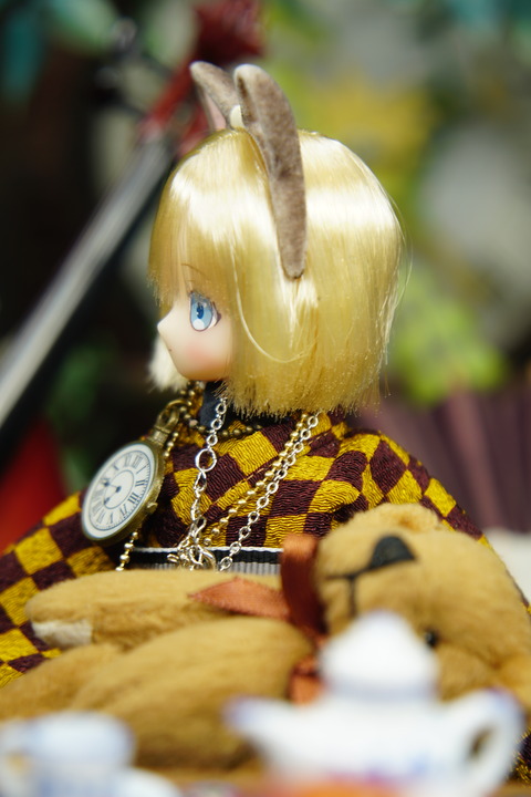 orange_pekoe_2_2020_1_5_DSC03228