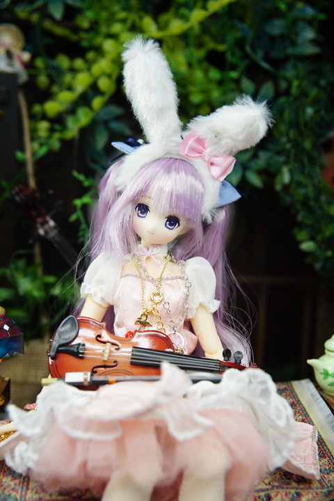 orange_pekoe_8_2020_4_25_DSC06991