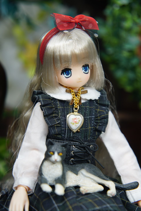 orange_pekoe_7_2019_12_14_DSC03111