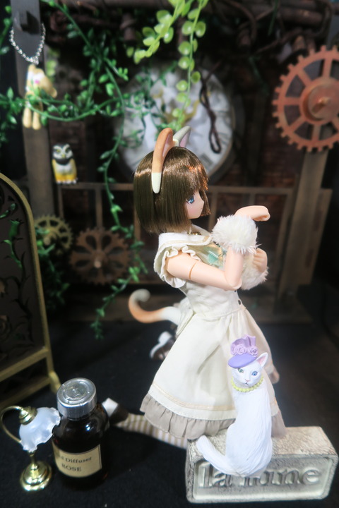 orange_pekoe_2_2017_8_19_IMG_8257