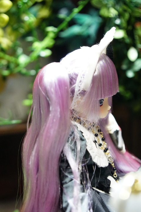 orange_pekoe_4_2020_5_24_DSC01702