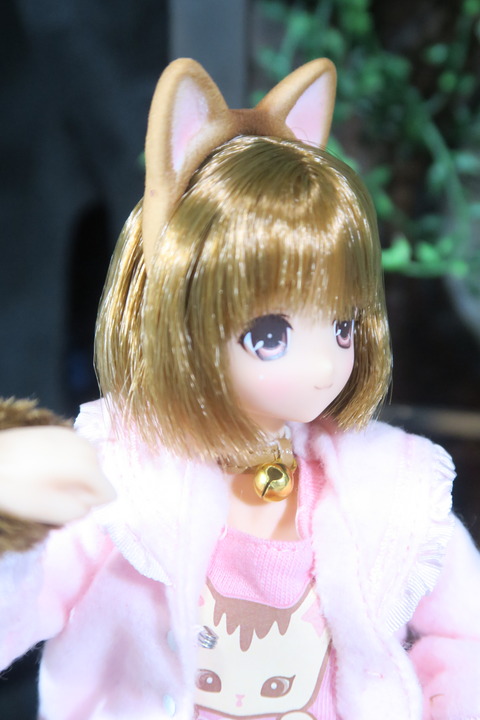 orange_pekoe_8_2017_4_30_IMG_6890