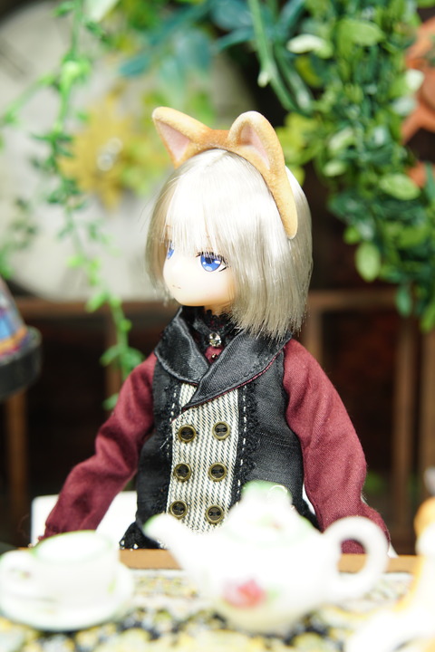 orange_pekoe_6_2019_9_6_DSC07687