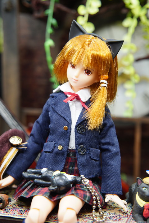 orange_pekoe_5_2020_9_15_DSC02613