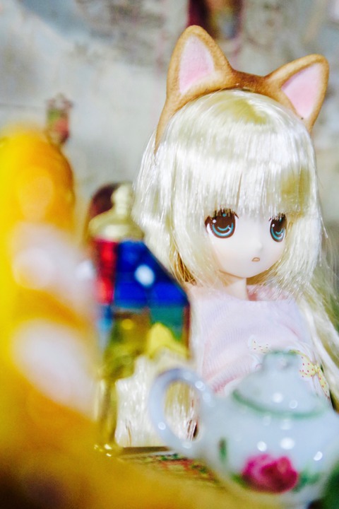 orange_pekoe_2_2020_5_12_IMG_9092