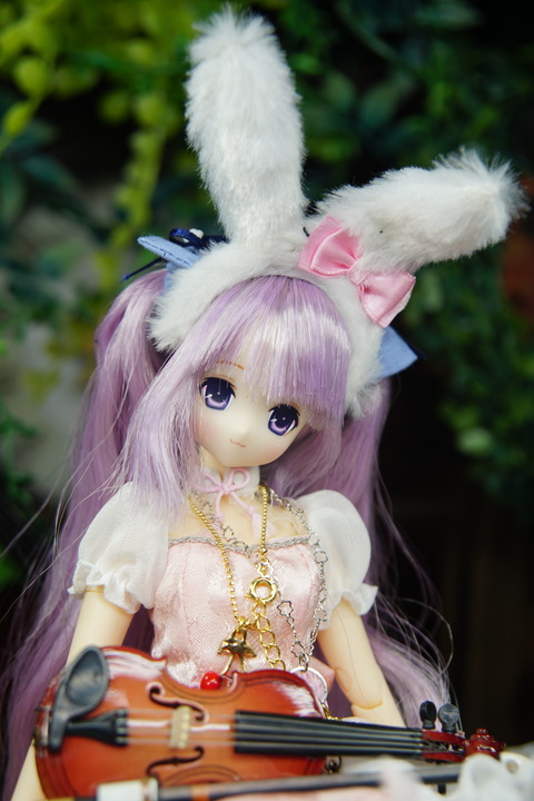 orange_pekoe_4_2020_4_26_DSC06993