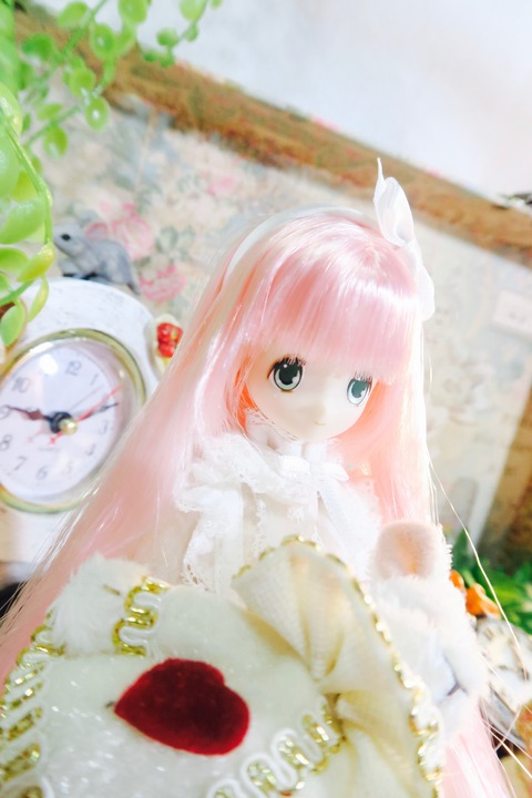 orange_pekoe_5_2017_4_12_IMG_6591