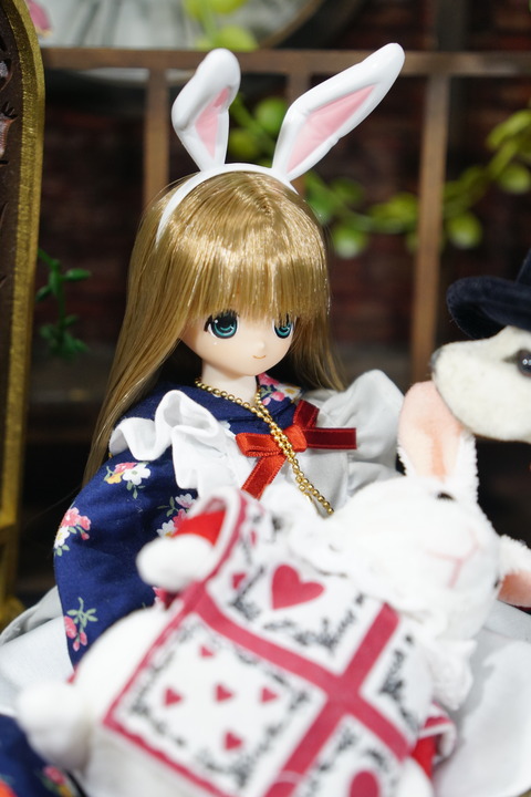 orange_pekoe_6_2019_9_23_DSC03254