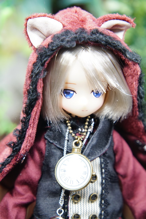 orange_pekoe_7_2019_9_13_DSC07873