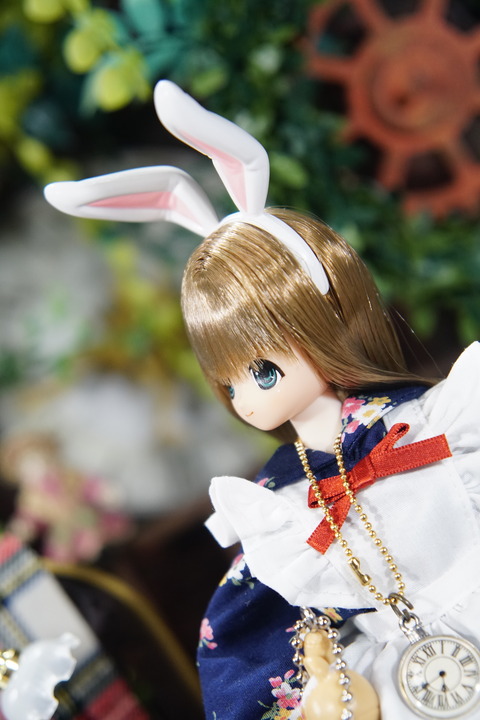 orange_pekoe_7_2019_12_27_DSC03321