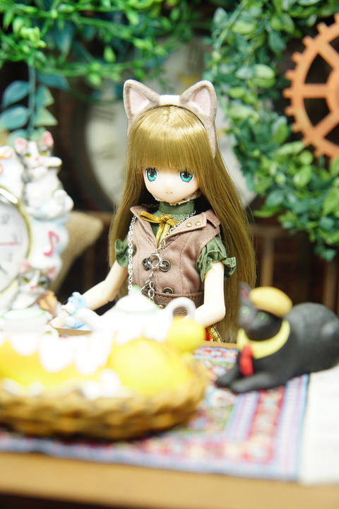 orange_pekoe_3_2019_8_23_DSC00076