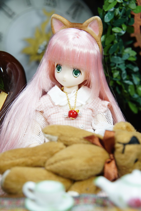 orange_pekoe_2_2_2020_7_30_DSC01359