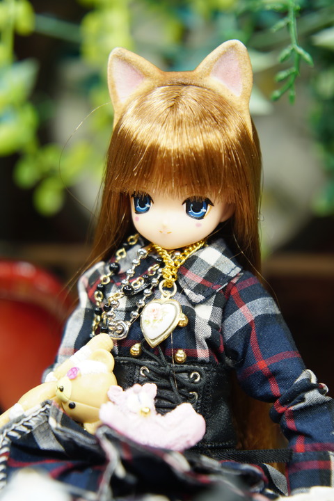 orange_pekoe_2_2020_7_25_DSC04316