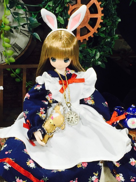 orange_pekoe_4_2018_5_24_IMG_0071