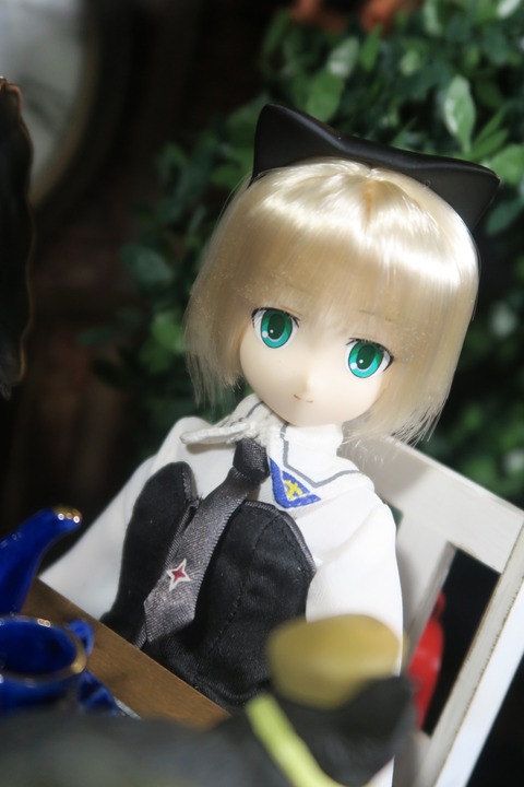 orange_pekoe_8_2016_10_28_IMG_4184