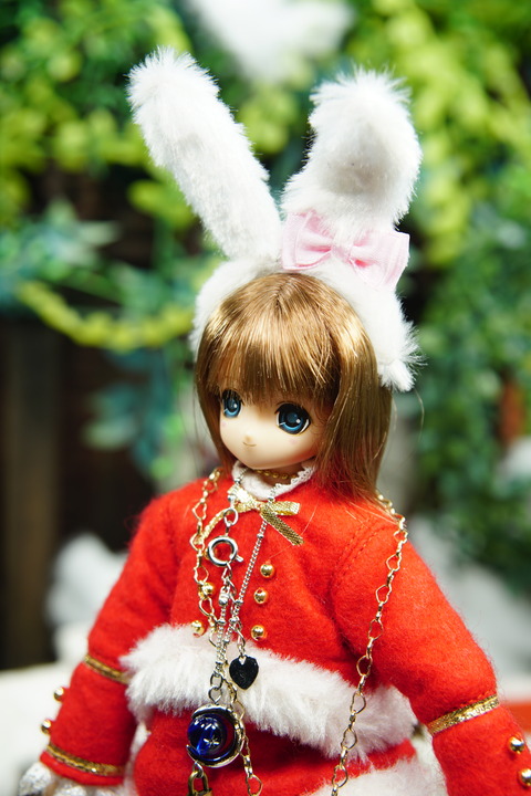 orange_pekoe_8_2019_12_24_DSC06287