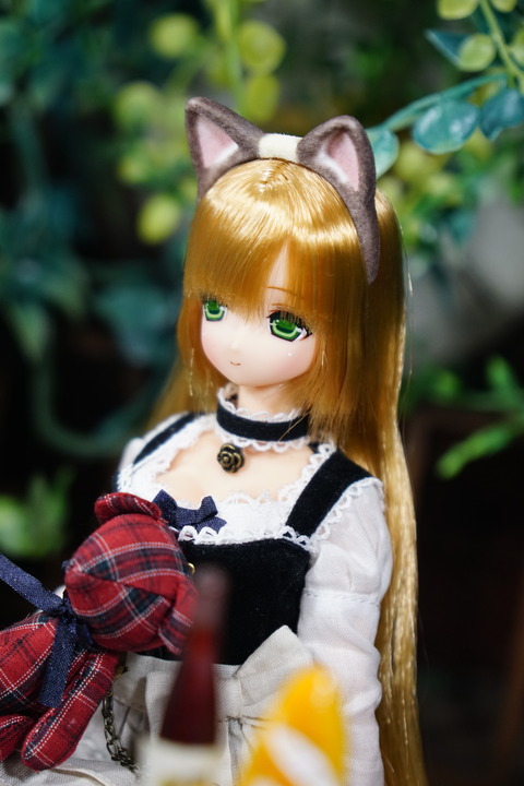 orange_pekoe_2_2018_5_31_DSC03694