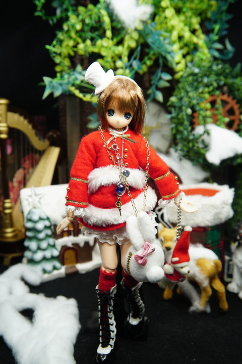 orange_pekoe_8_2019_12_25_DSC06290