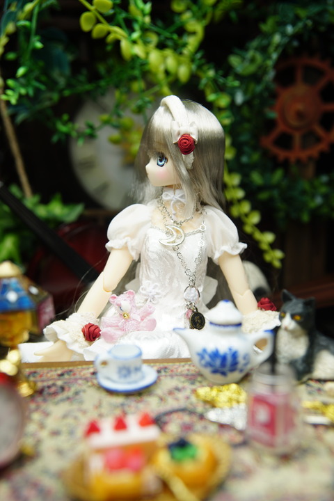 orange_pekoe_5_2020_4_2_DSC05982