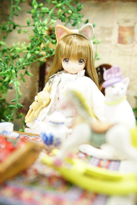 orange_pekoe_2_2020_3_29_DSC09470