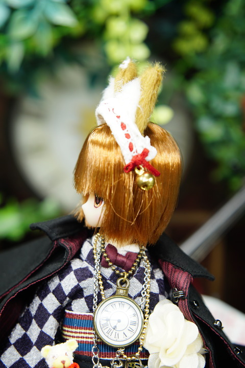 orange_pekoe_7_2020_7_16_DSC00118