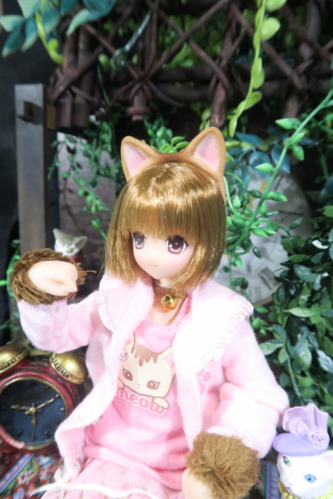 orange_pekoe_3_2017_4_30_IMG_6878