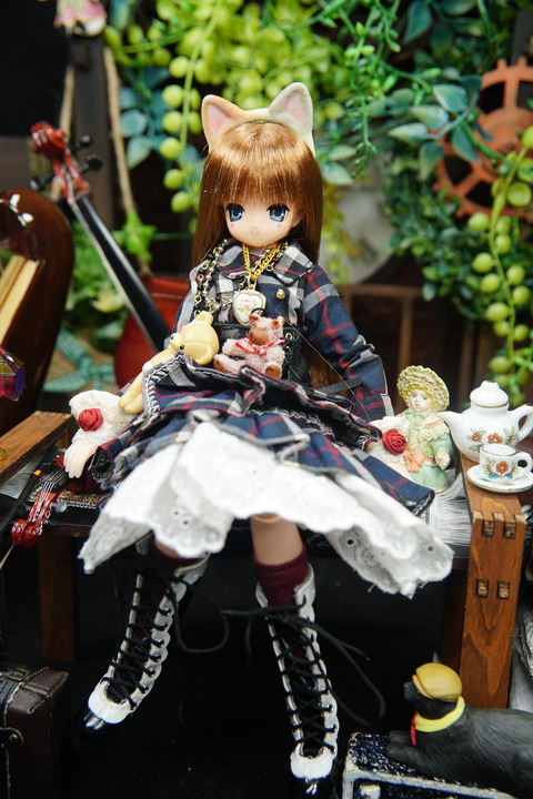 orange_pekoe_8_2020_7_25_DSC04629