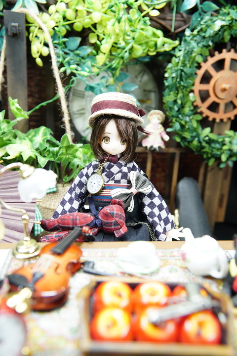 orange_pekoe_8_2019_6_10_DSC05492