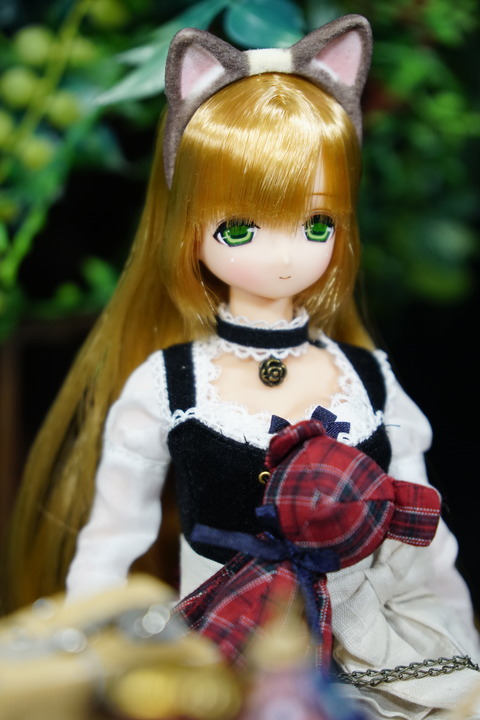 orange_pekoe_3_201_7_30_DSC03696