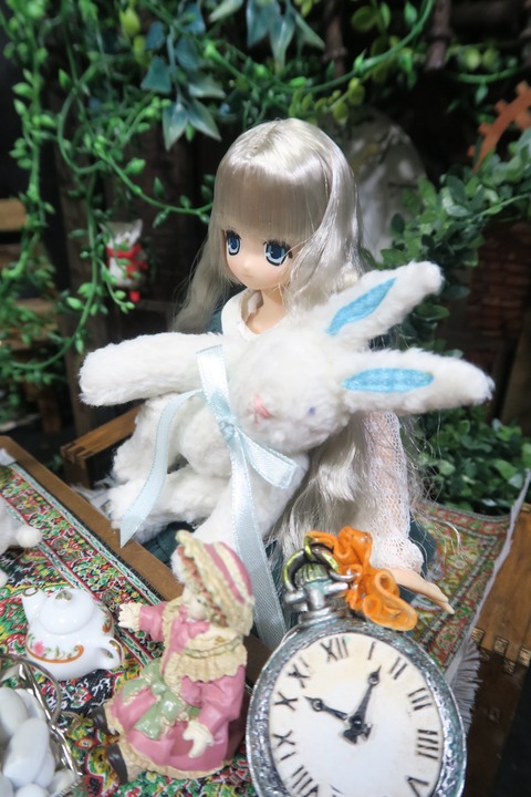 orange_pekoe_4_2017_1_28_IIMG_3253