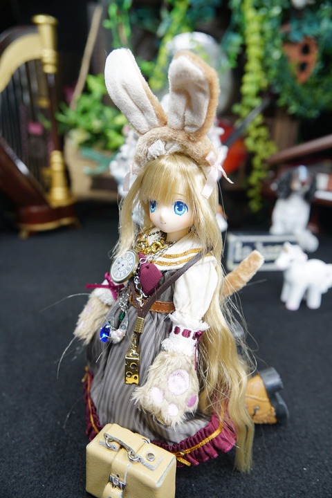 orange_pekoe_6_2020_7_13_DSC09778